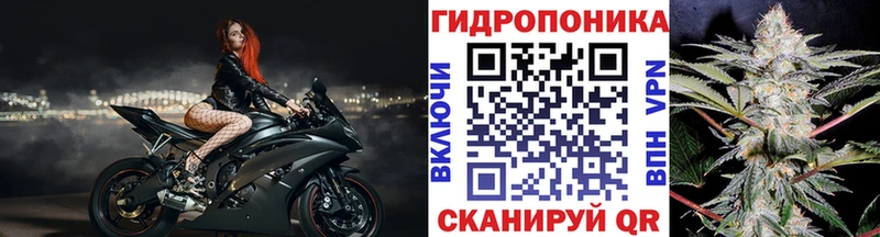 Купить ГАШ  МАРИХУАНА  Псилоцибиновые грибы  Alpha-PVP  Меф мяу мяу  COCAIN  Клинцы