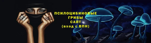 ГАЛЛЮЦИНОГЕННЫЕ ГРИБЫ Нязепетровск