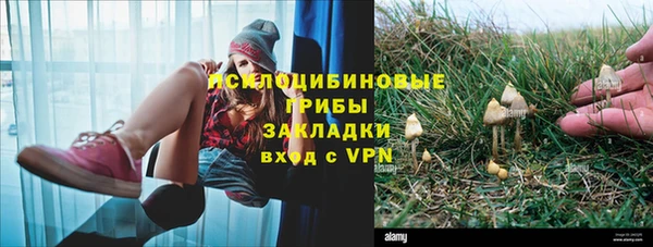 ГАЛЛЮЦИНОГЕННЫЕ ГРИБЫ Нязепетровск