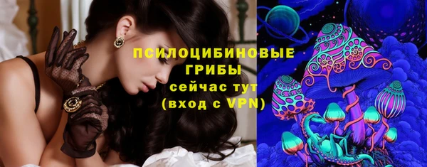 ГАЛЛЮЦИНОГЕННЫЕ ГРИБЫ Нязепетровск
