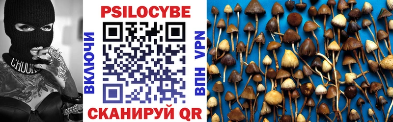 Галлюциногенные грибы Psilocybe  Купить где  Клинцы 